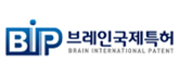 브레인 국제특허 로고